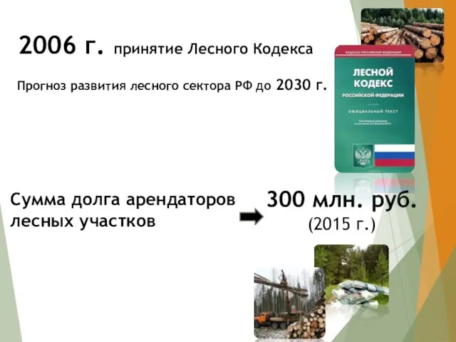 2006 г. принятие Лесного Кодекса Сумма долга арендаторов лесных участков 300