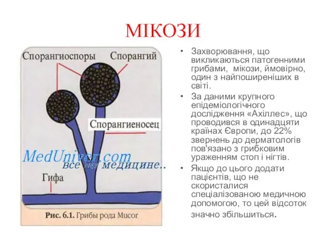 МІКОЗИ Захворювання, що викликаються патогенними грибами, ­ мікози, ймовірно, один з