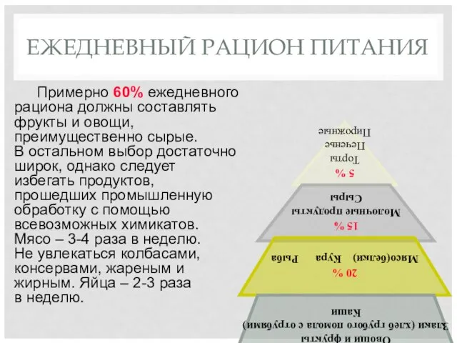 ЕЖЕДНЕВНЫЙ РАЦИОН ПИТАНИЯ Примерно 60% ежедневного рациона должны составлять фрукты и