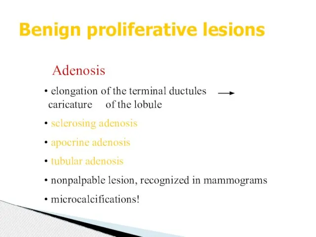 Benign proliferative lesions Adenosis elongation of the terminal ductules caricature of