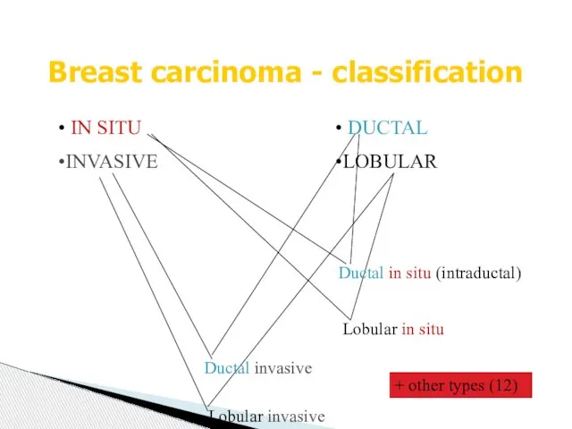 Breast carcinoma - classification IN SITU INVASIVE DUCTAL LOBULAR Ductal in