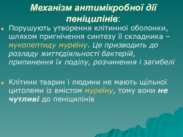 Механізм антимікробної дії пеніцилінів: Порушують утворення клітинної оболонки, шляхом пригнічення синтезу