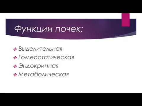 Функции почек: Выделительная Гомеостатическая Эндокринная Метаболическая