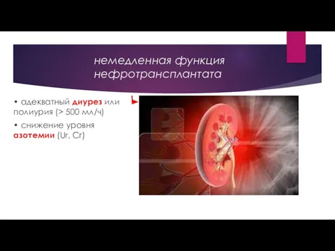 немедленная функция нефротрансплантата • адекватный диурез или полиурия (> 500 мл/ч)