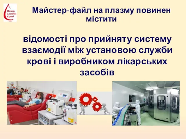 Майстер-файл на плазму повинен містити відомості про прийняту систему взаємодії між