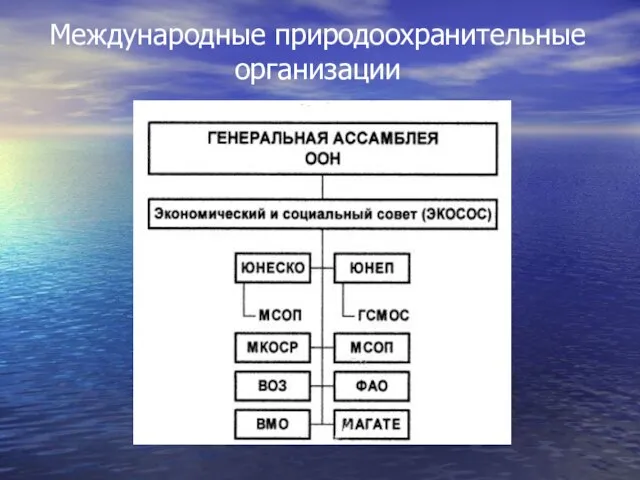 Международные природоохранительные организации