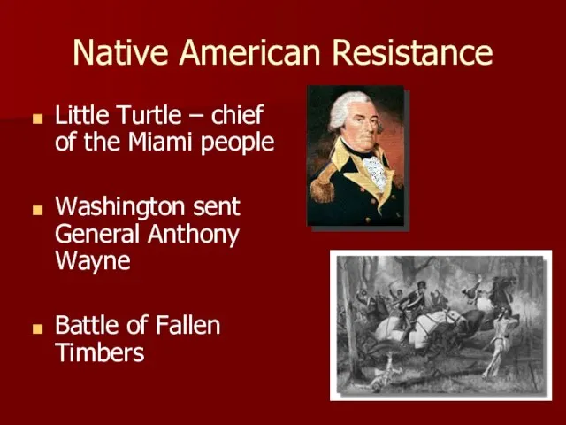Native American Resistance Little Turtle – chief of the Miami people