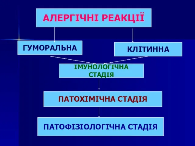 АЛЕРГІЧНІ РЕАКЦІЇ ГУМОРАЛЬНА КЛІТИННА ІМУНОЛОГІЧНА СТАДІЯ ПАТОФІЗІОЛОГІЧНА СТАДІЯ ПАТОХІМІЧНА СТАДІЯ