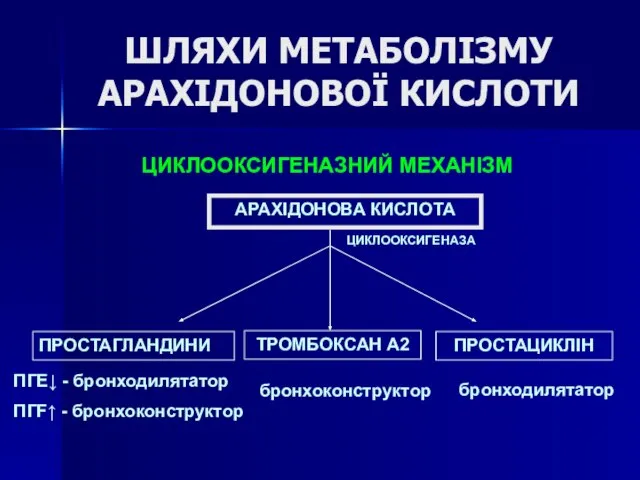 ШЛЯХИ МЕТАБОЛІЗМУ АРАХІДОНОВОЇ КИСЛОТИ АРАХІДОНОВА КИСЛОТА ЦИКЛООКСИГЕНАЗА ПРОСТАГЛАНДИНИ ТРОМБОКСАН А2 ПРОСТАЦИКЛІН