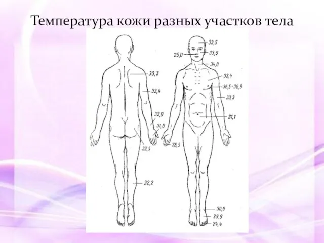 Температура кожи разных участков тела