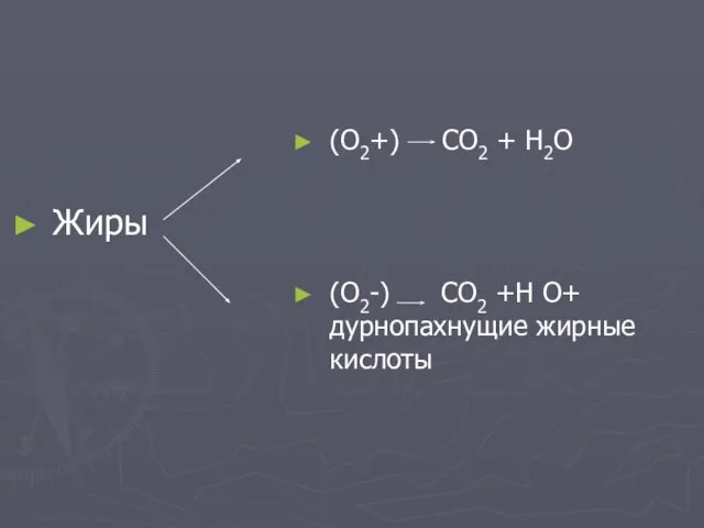 Жиры (О2+) СО2 + Н2О (О2-) СО2 +Н О+ дурнопахнущие жирные кислоты