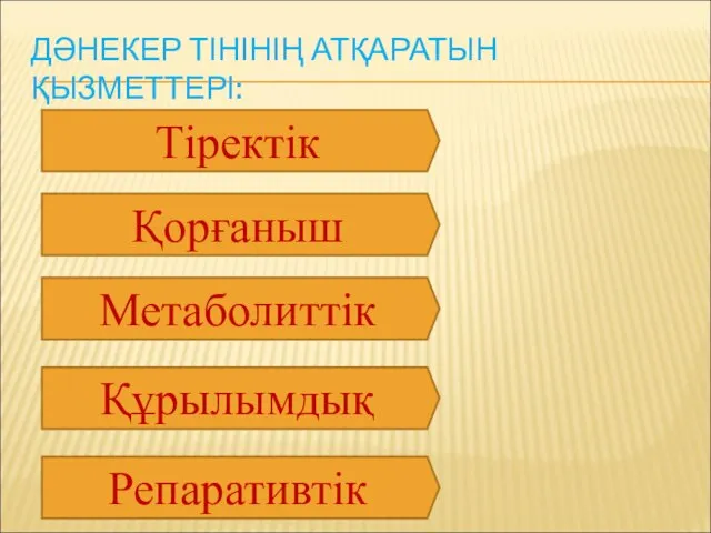 ДӘНЕКЕР ТІНІНІҢ АТҚАРАТЫН ҚЫЗМЕТТЕРІ: Тіректік Қорғаныш Метаболиттік Құрылымдық Репаративтік