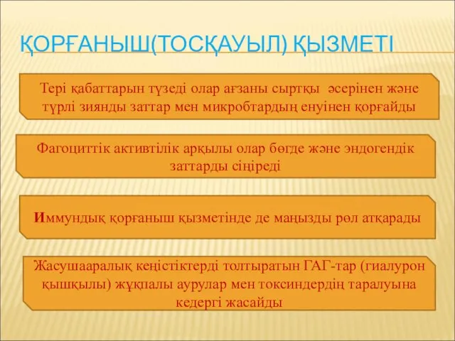 ҚОРҒАНЫШ(ТОСҚАУЫЛ) ҚЫЗМЕТІ Тері қабаттарын түзеді олар ағзаны сыртқы әсерінен және түрлі