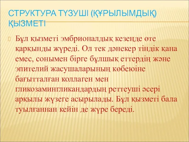 СТРУКТУРА ТҮЗУШІ (ҚҰРЫЛЫМДЫҚ) ҚЫЗМЕТІ Бұл қызметі эмбрионалдық кезеңде өте қарқынды жүреді.