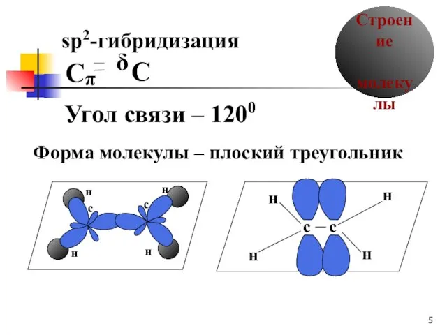 δ Строение молекулы sp2-гибридизация Угол связи – 1200 Форма молекулы – плоский треугольник C π C