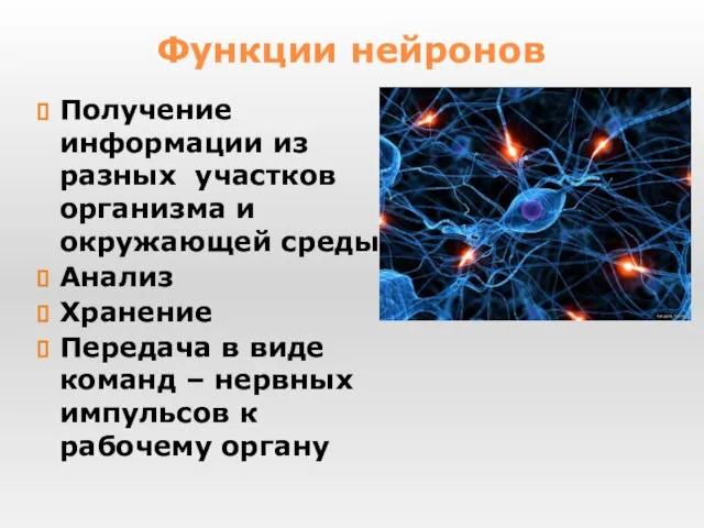 Получение информации из разных участков организма и окружающей среды Анализ Хранение