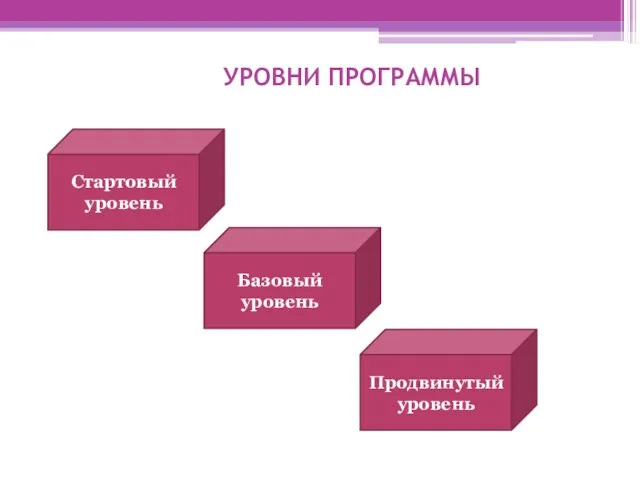 УРОВНИ ПРОГРАММЫ Стартовый уровень Базовый уровень Продвинутый уровень