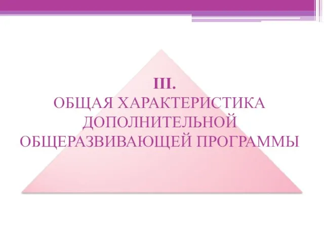 III. ОБЩАЯ ХАРАКТЕРИСТИКА ДОПОЛНИТЕЛЬНОЙ ОБЩЕРАЗВИВАЮЩЕЙ ПРОГРАММЫ