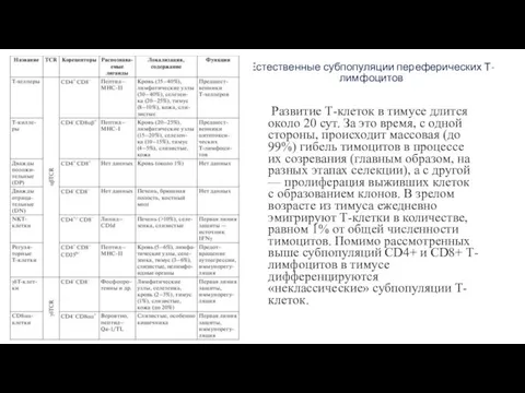 Естественные субпопуляции переферических Т-лимфоцитов Развитие Т-клеток в тимусе длится около 20