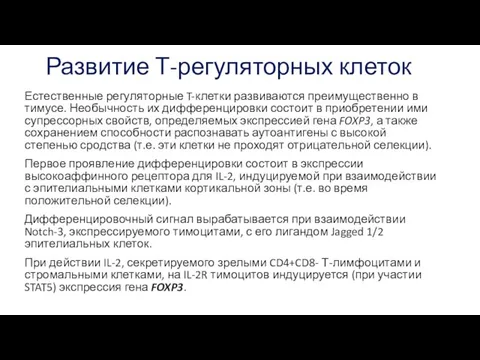 Развитие Т-регуляторных клеток Естественные регуляторные T-клетки развиваются преимущественно в тимусе. Необычность