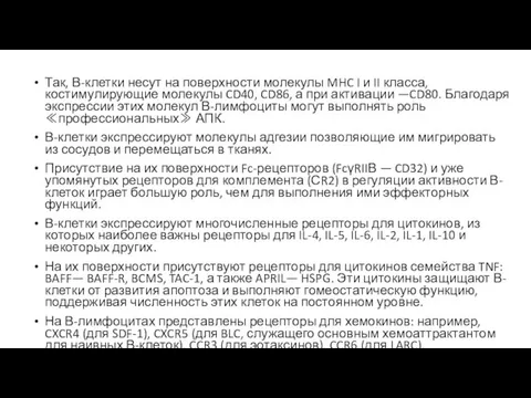 Так, В-клетки несут на поверхности молекулы MHC I и II класса,