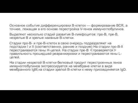 Основное событие дифференцировки В-клеток — формирование BCR, а точнее, лежащая в