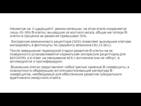 Несмотря на ≪щадящий≫ режим селекции, на этом этапе сохраняется лишь 10–30%