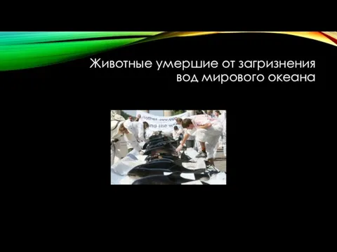 Животные умершие от загризнения вод мирового океана