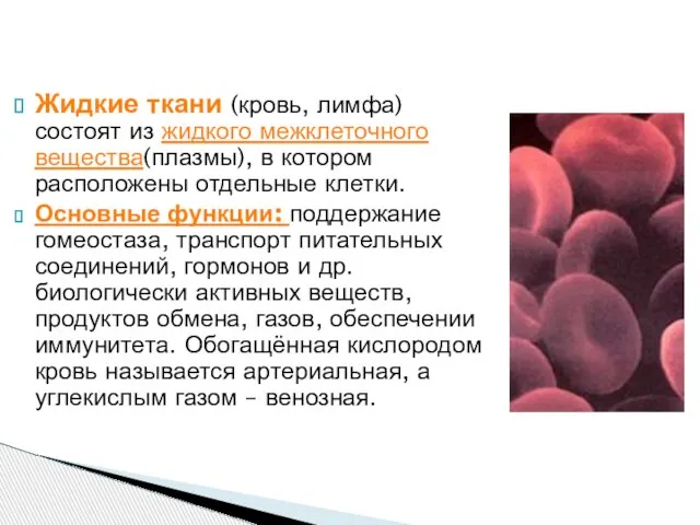 Жидкие ткани (кровь, лимфа) состоят из жидкого межклеточного вещества(плазмы), в котором