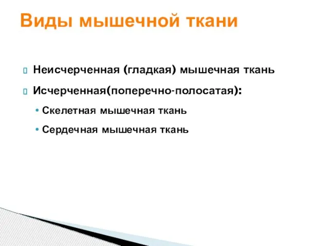 Неисчерченная (гладкая) мышечная ткань Исчерченная(поперечно-полосатая): Скелетная мышечная ткань Сердечная мышечная ткань Виды мышечной ткани