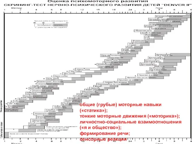 общие (грубые) моторные навыки («статика»); тонкие моторные движения («моторика»); личностно-социальные взаимоотношения