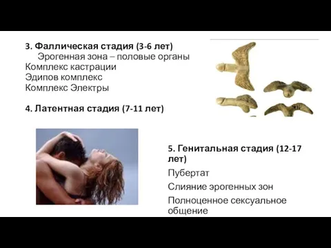 3. Фаллическая стадия (3-6 лет) Эрогенная зона – половые органы Комплекс