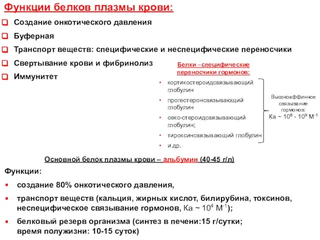 Основной белок плазмы крови – альбумин (40-45 г/л) Функции: создание 80%