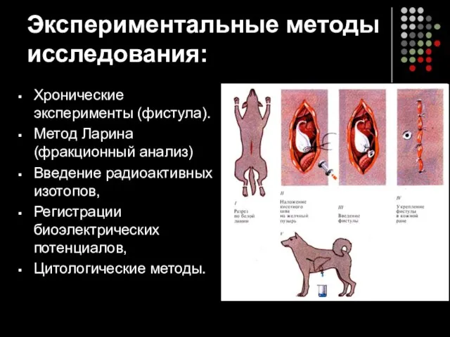 Экспериментальные методы исследования: Хронические эксперименты (фистула). Метод Ларина (фракционный анализ) Введение