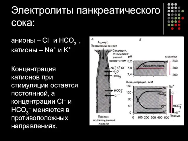 Электролиты панкреатического сока: анионы – Сl– и НСО3–, катионы – Na+