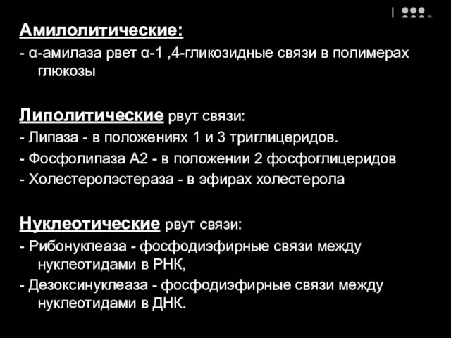 Амилолитические: - α-амилаза рвет α-1 ,4-гликозидные связи в полимерах глюкозы Липолитические