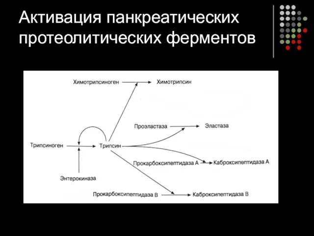 Активация панкреатических протеолитических ферментов