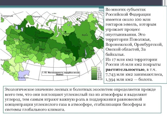 Экологическое значение лесных и болотных экосистем определяется прежде всего тем, что