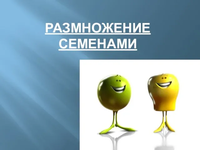 РАЗМНОЖЕНИЕ СЕМЕНАМИ