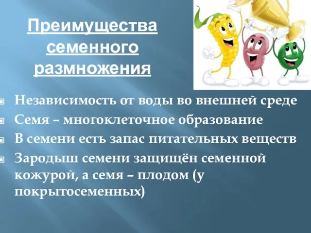 Преимущества семенного размножения Независимость от воды во внешней среде Семя –