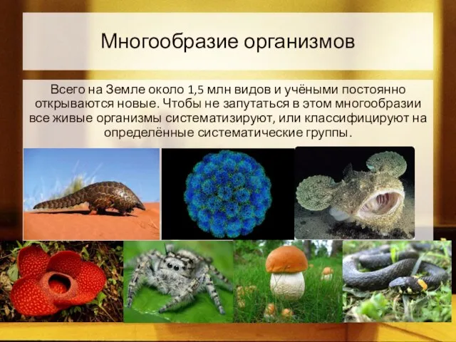 Многообразие организмов Всего на Земле около 1,5 млн видов и учёными