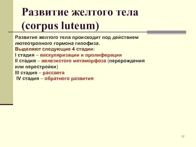 Развитие желтого тела (corpus luteum) Развитие желтого тела происходит под действием