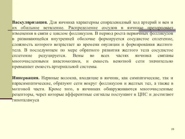 Васкуляризация. Для яичника характерны спиралевидный ход артерий и вен и их