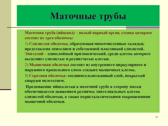 Маточные трубы Маточная труба (яйцевод) – полый парный орган, стенка которого