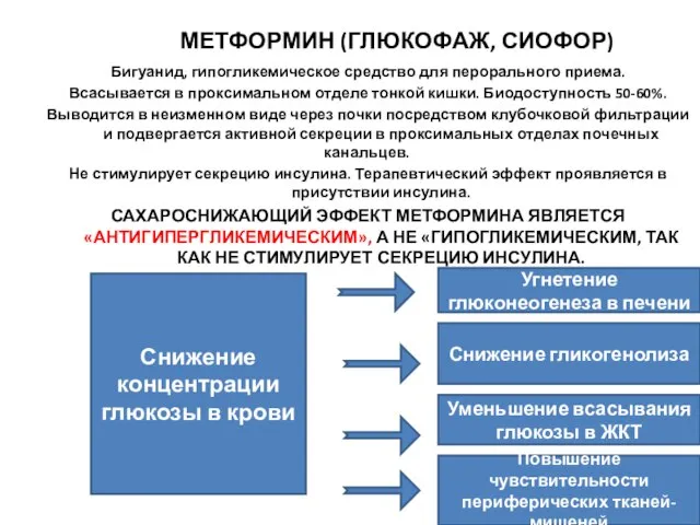 МЕТФОРМИН (ГЛЮКОФАЖ, СИОФОР) Бигуанид, гипогликемическое средство для перорального приема. Всасывается в