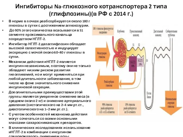 Ингибиторы Na-глюкозного котранспортера 2 типа (глифлозины)(в РФ с 2014 г.) В