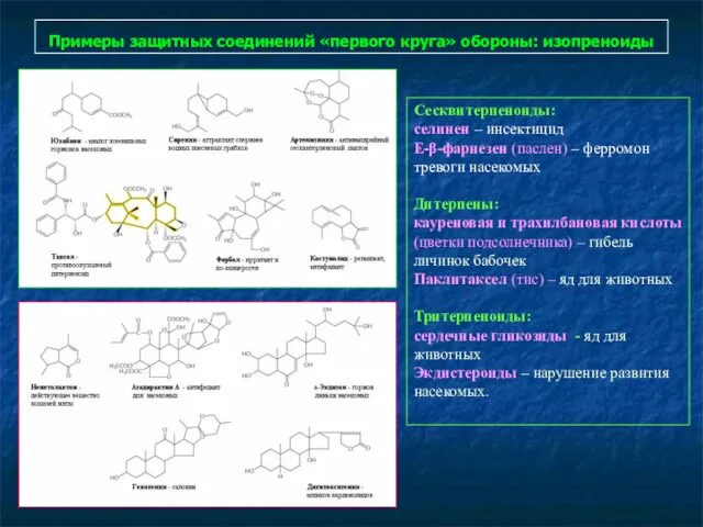 Примеры защитных соединений «первого круга» обороны: изопреноиды Сесквитерпеноиды: селинен – инсектицид