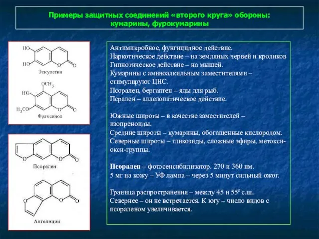 Примеры защитных соединений «второго круга» обороны: кумарины, фурокумарины Антимикробное, фунгицидное действие.