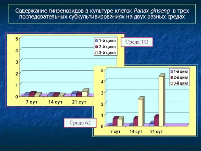 Содержание гинзенозидов в культуре клеток Panax ginseng в трех последовательных субкультивированиях