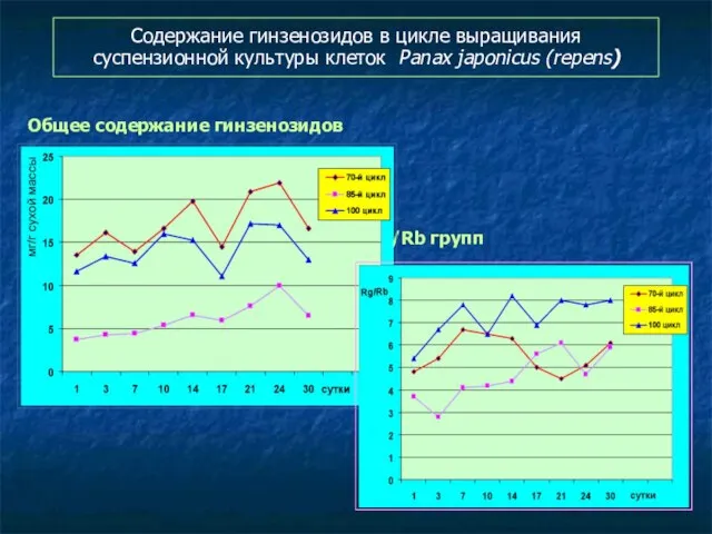 Содержание гинзенозидов в цикле выращивания суспензионной культуры клеток Panax japonicus (repens)